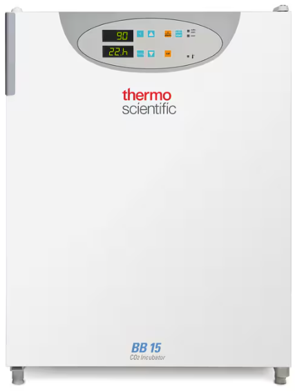 Thermo Scientific BB15